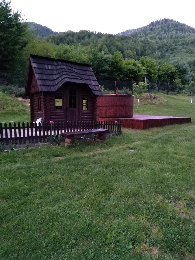 Pensiunea Roxana Valea Viseului 외부 사진