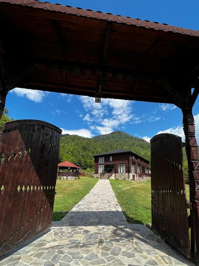 Pensiunea Roxana Valea Viseului 외부 사진
